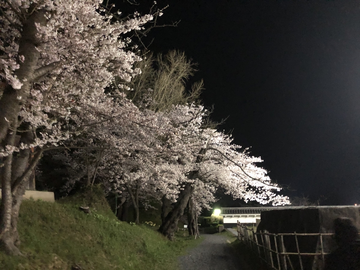 f:id:nge0068:20200419132345j:plain