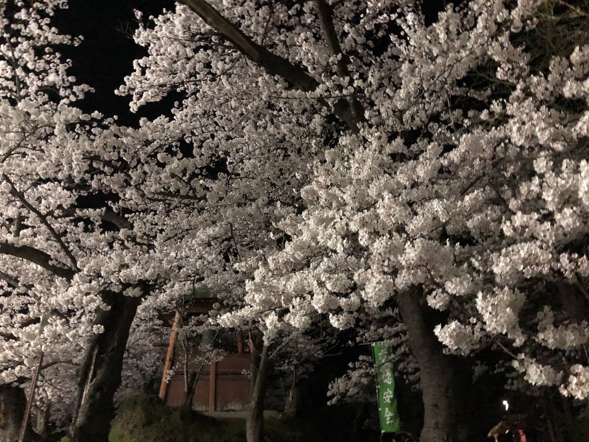 f:id:nge0068:20200419132453j:plain