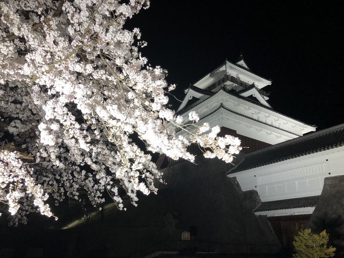 f:id:nge0068:20200419132603j:plain