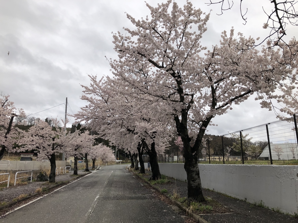 f:id:nge0068:20200419133007j:plain