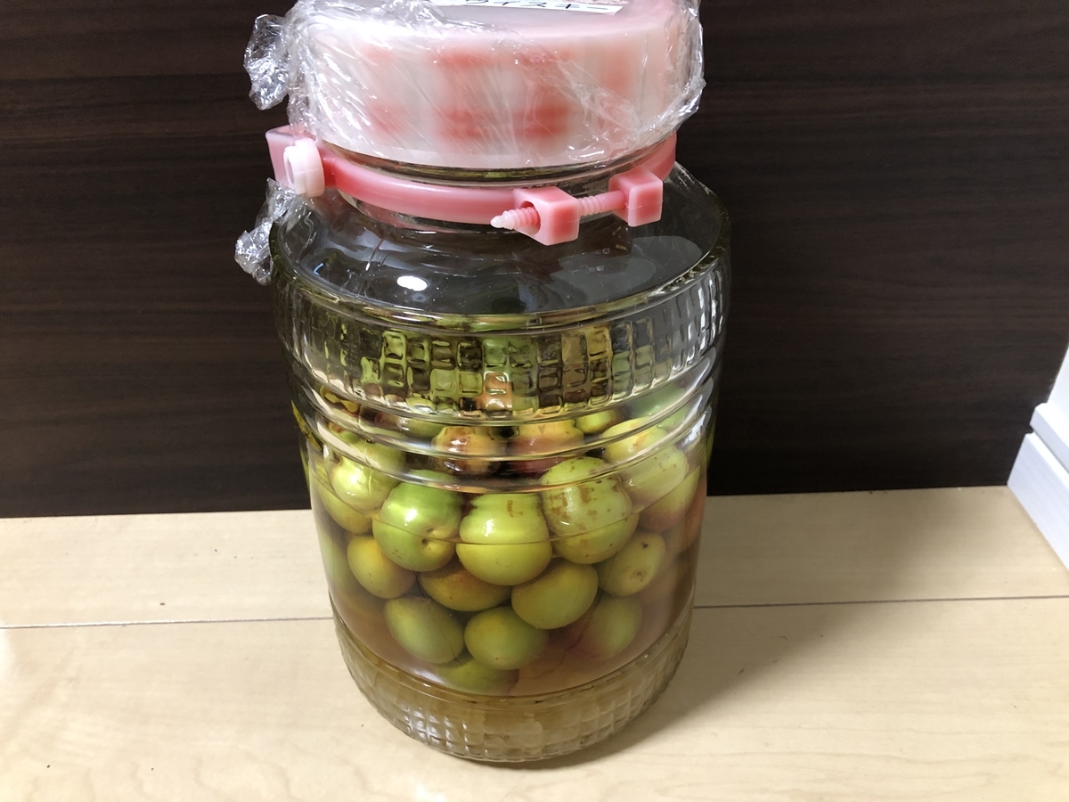 f:id:nge0068:20200706110133j:plain