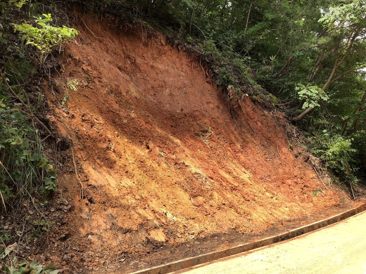 f:id:nge0068:20200803113516j:plain