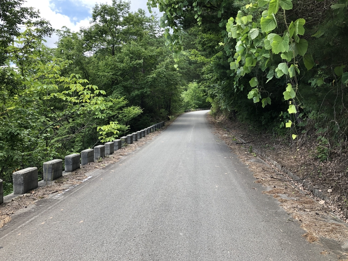 f:id:nge0068:20200804101326j:plain