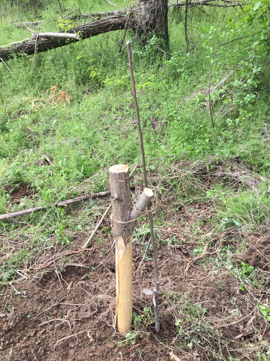 f:id:nge0068:20201001145214j:plain