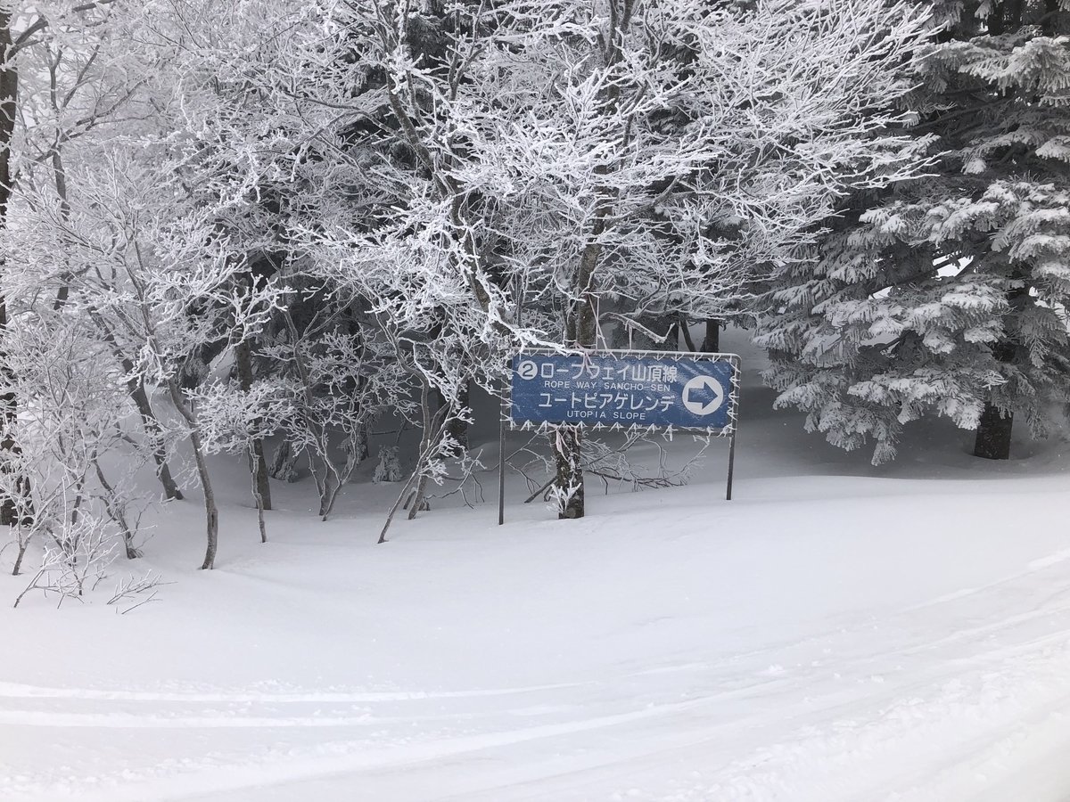 f:id:nge0068:20210226173524j:plain