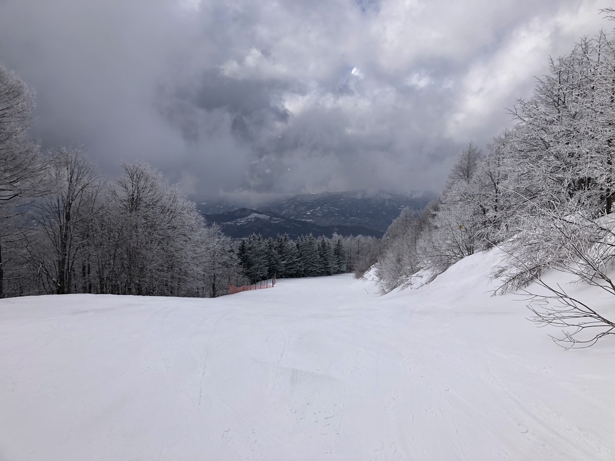 f:id:nge0068:20210309171634j:plain