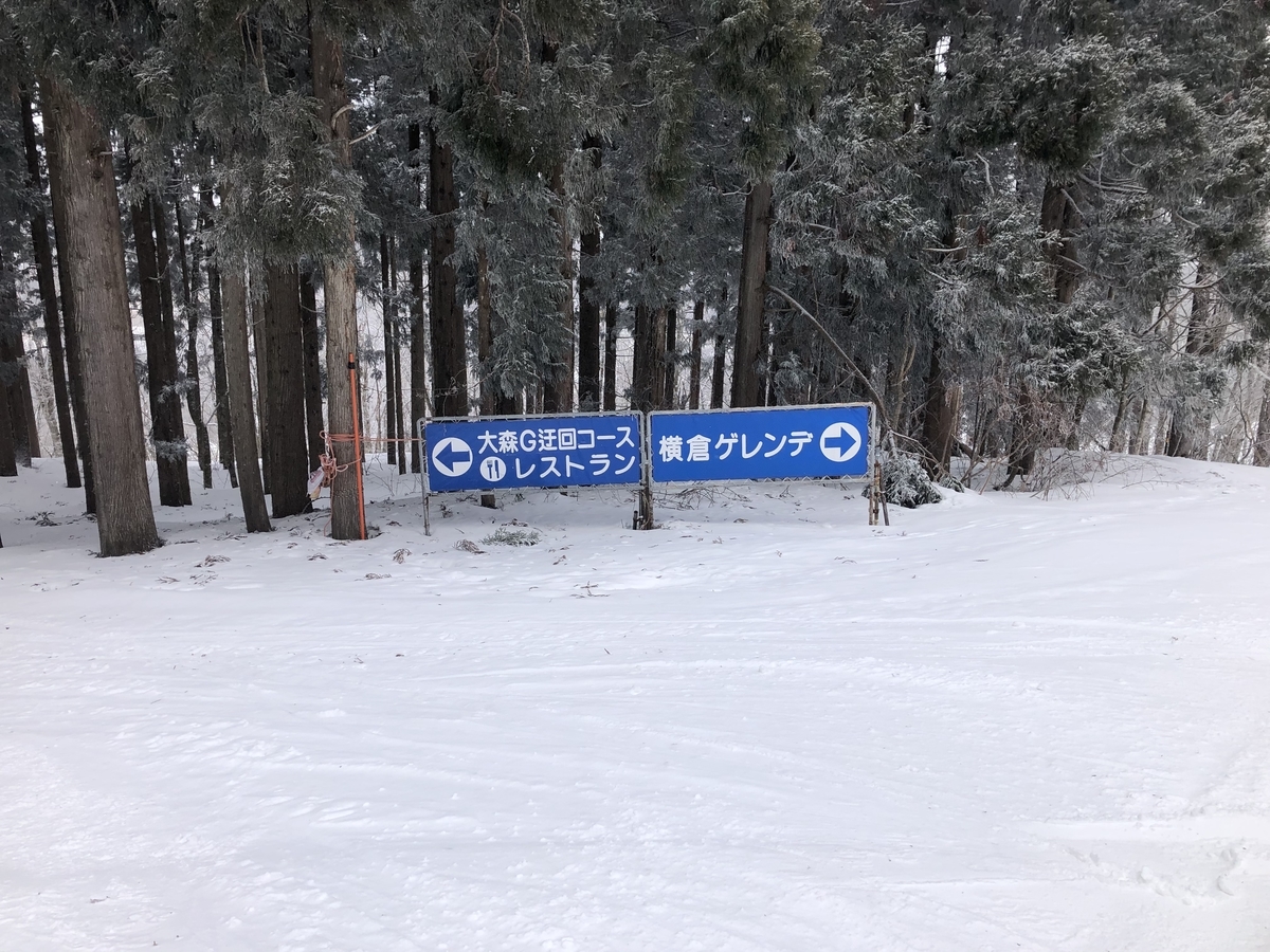 f:id:nge0068:20210309171915j:plain