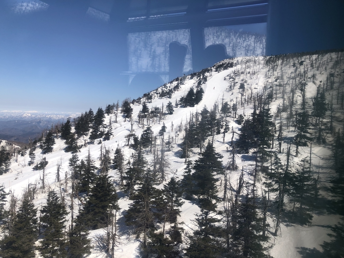 f:id:nge0068:20210311132328j:plain