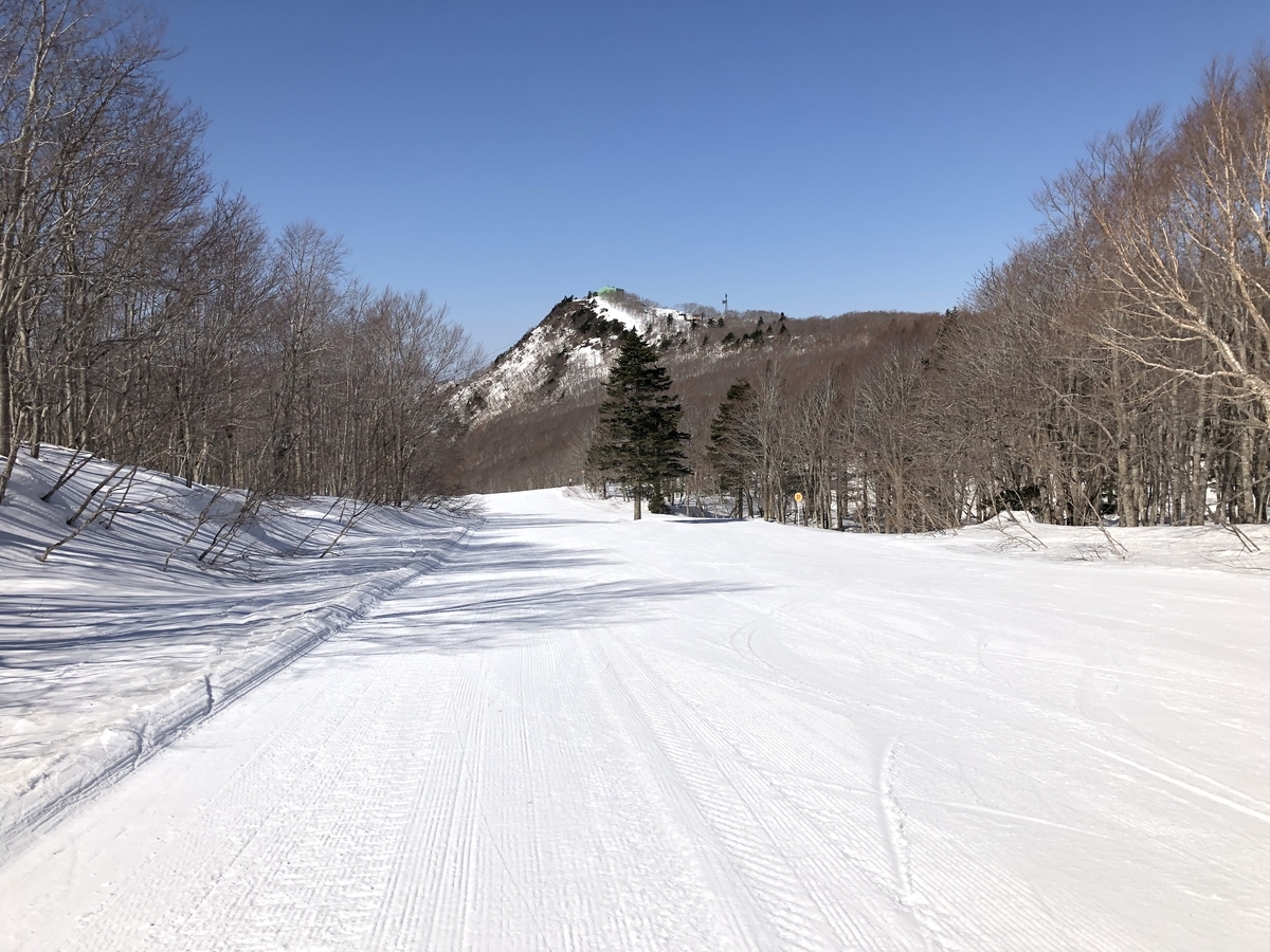 f:id:nge0068:20210313142602j:plain