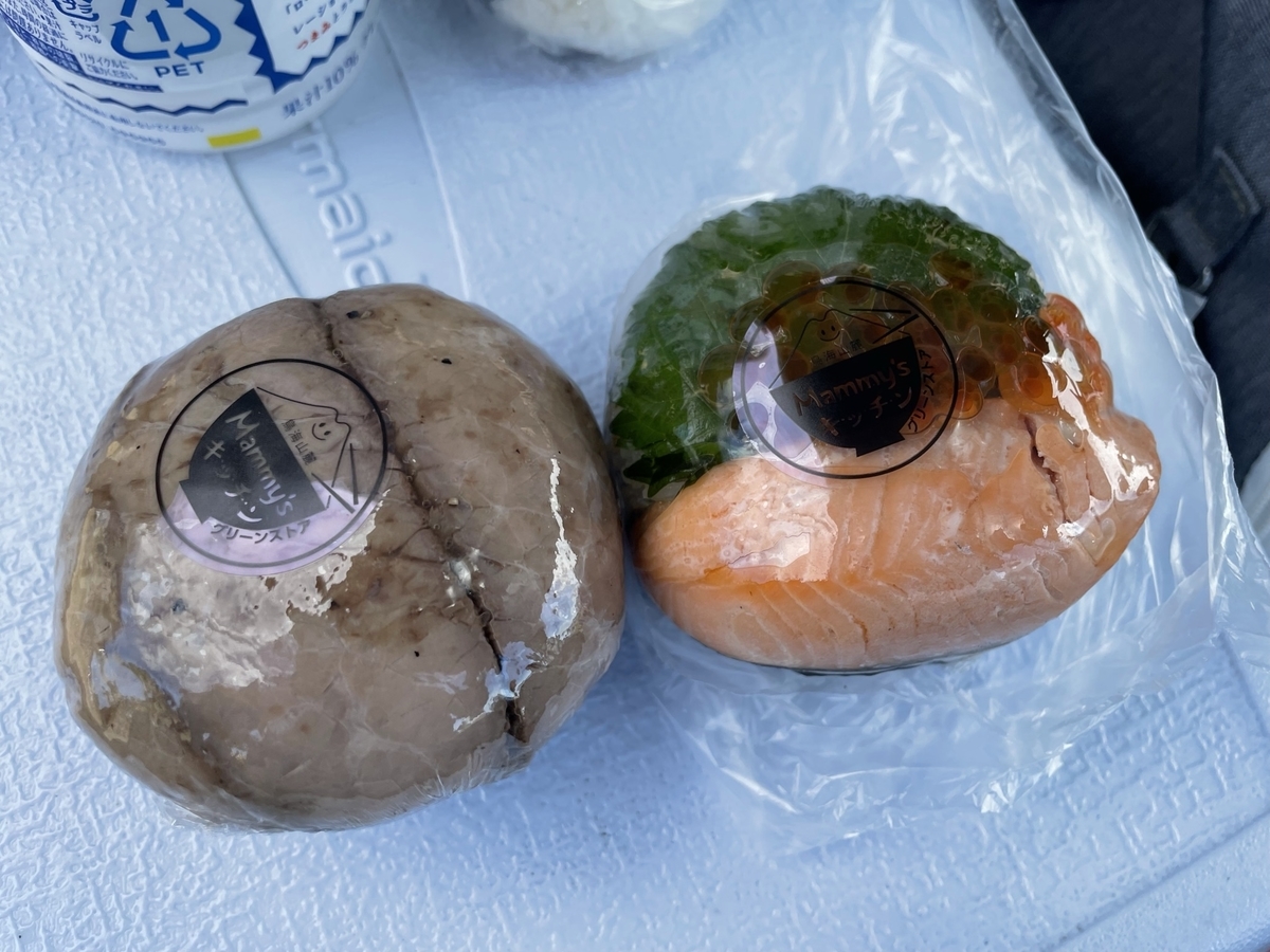 f:id:nge0068:20210821171831j:plain