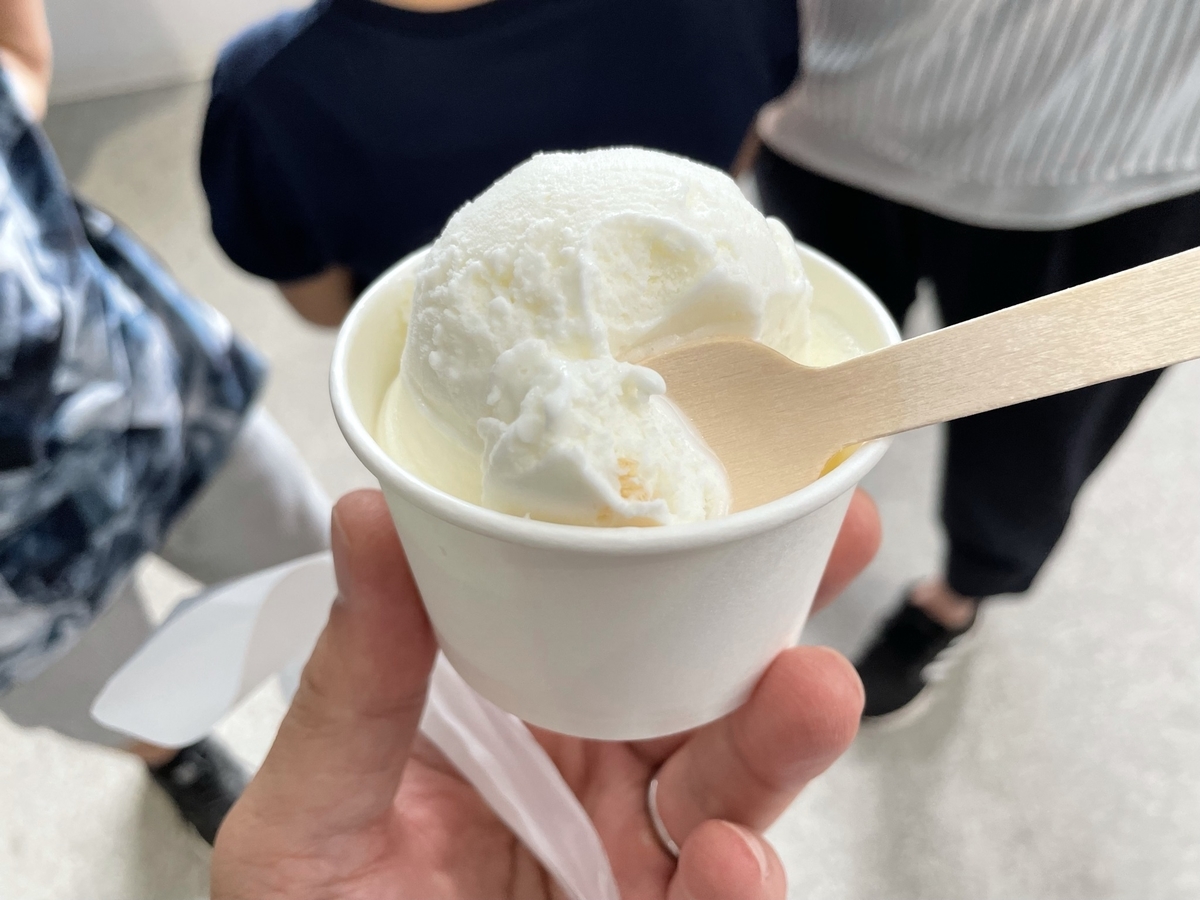 f:id:nge0068:20210822201234j:plain