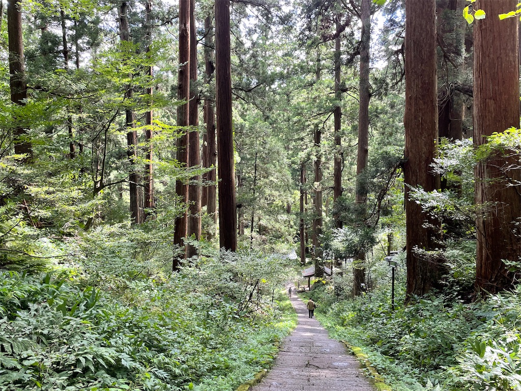 f:id:nge0068:20210922120635j:image