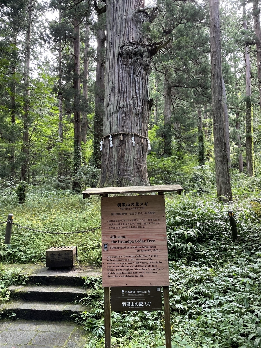 f:id:nge0068:20211004124356j:plain