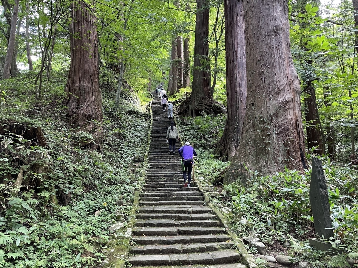 f:id:nge0068:20211004125536j:plain