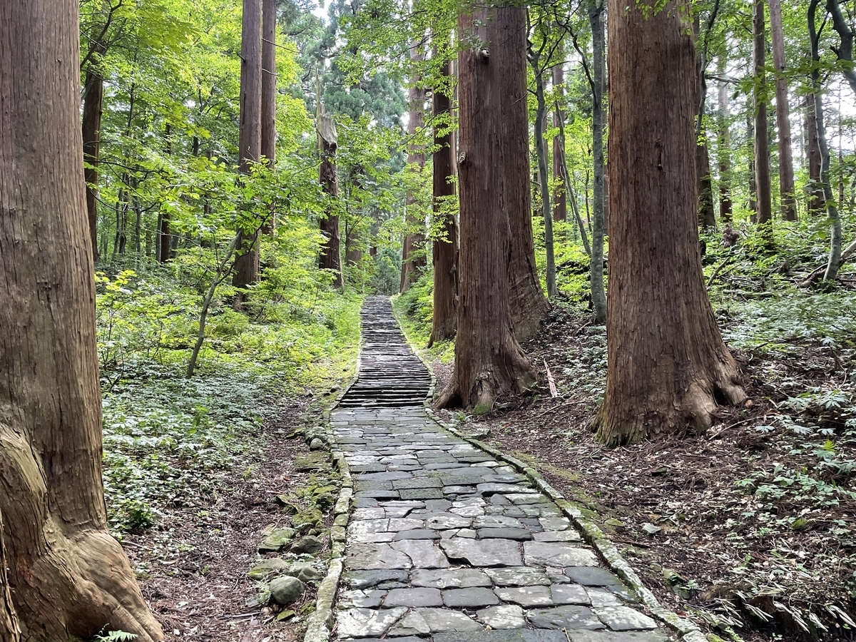 f:id:nge0068:20211004125824j:plain