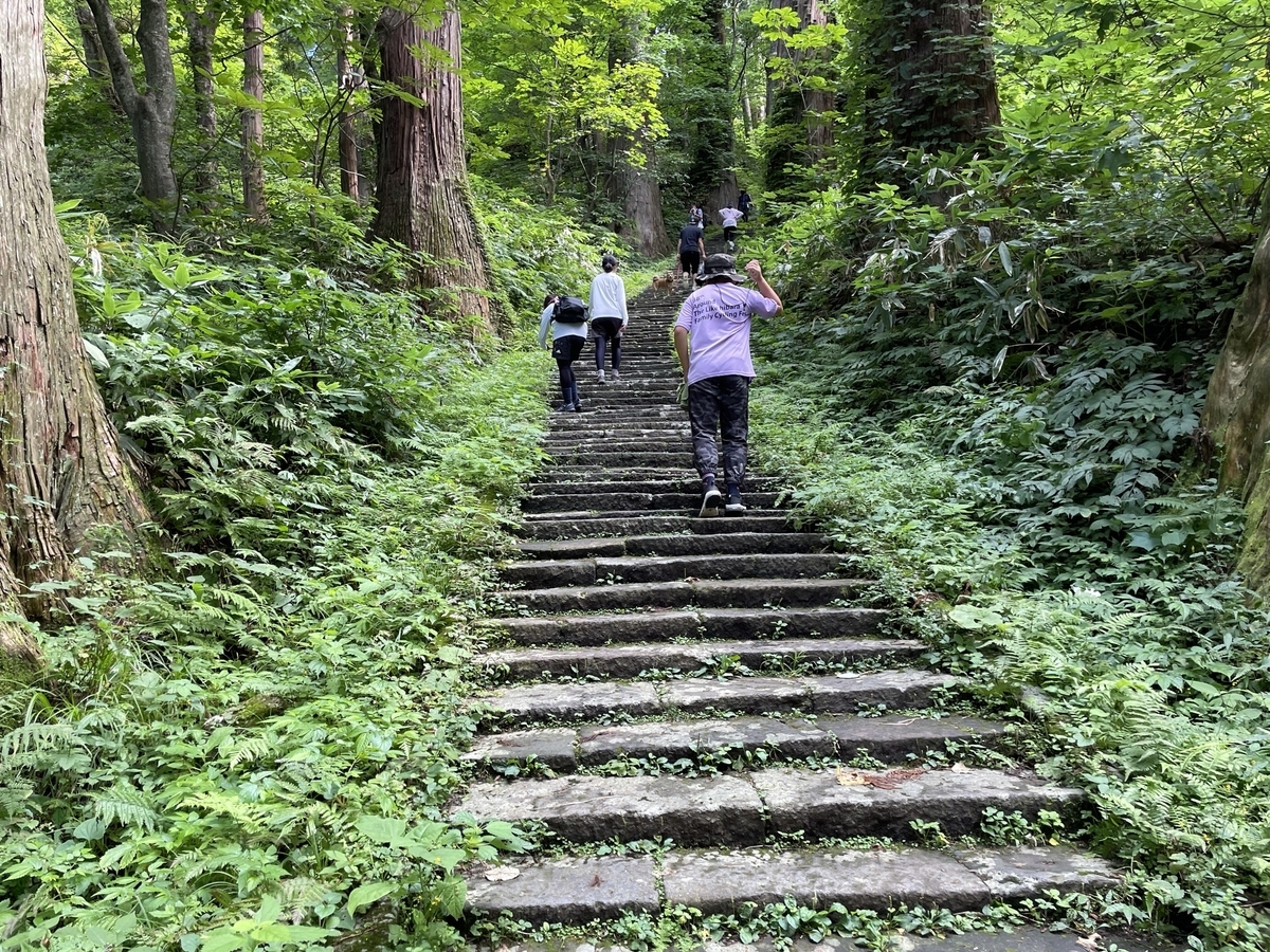 f:id:nge0068:20211012095701j:plain