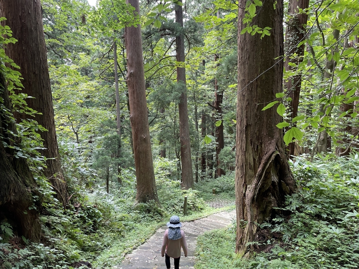 f:id:nge0068:20211020124544j:plain