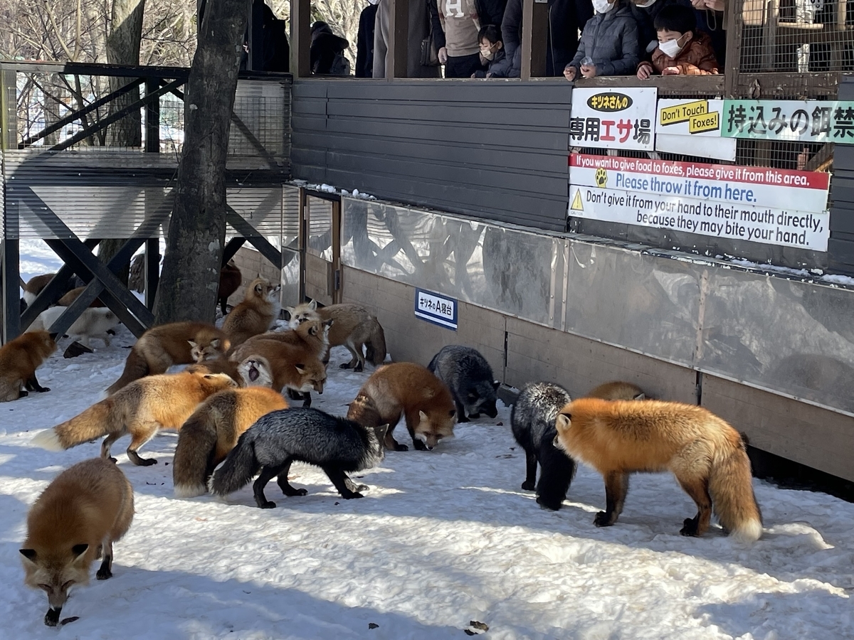 f:id:nge0068:20220113112351j:plain