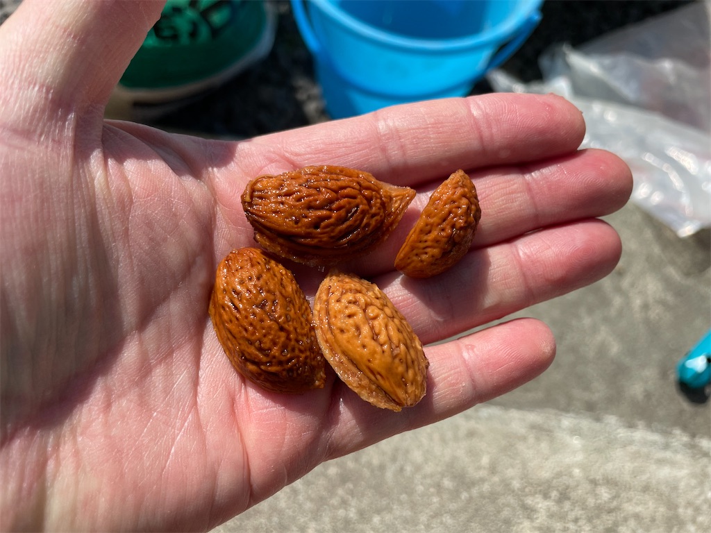 f:id:nge0068:20240318191411j:image