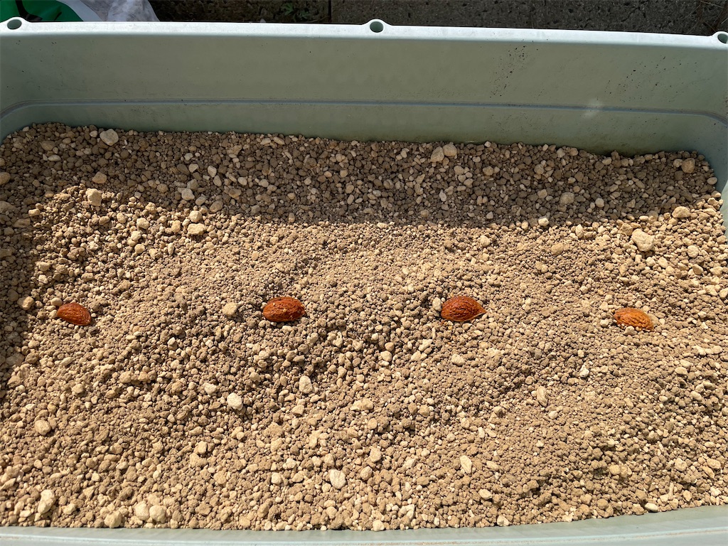 f:id:nge0068:20240318192128j:image