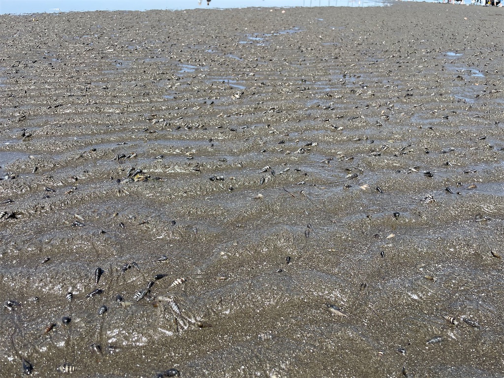 f:id:nge0068:20240504100014j:image