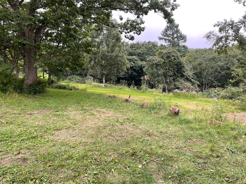 f:id:nge0068:20240909140704j:image