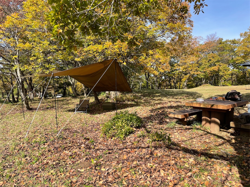 f:id:nge0068:20241031180738j:image f:id:nge0068:20241031180738j:image