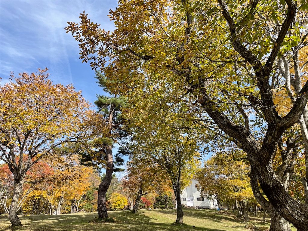 f:id:nge0068:20241109215104j:image f:id:nge0068:20241109215104j:image