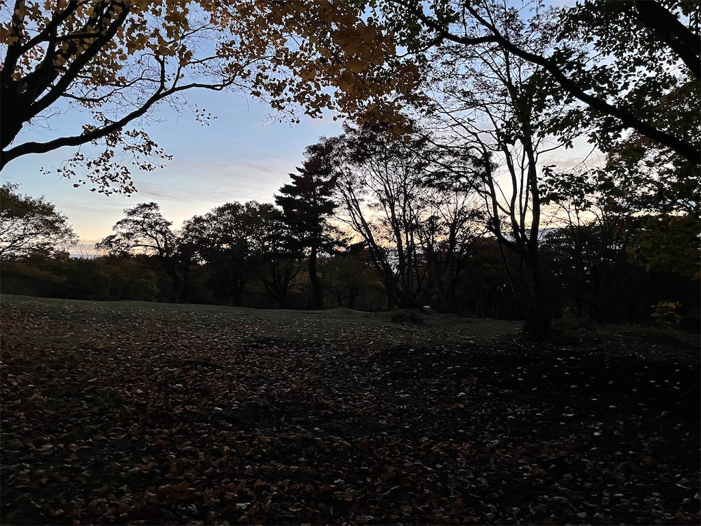 f:id:nge0068:20241110161349j:image f:id:nge0068:20241110161349j:image