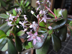 Dscn2560