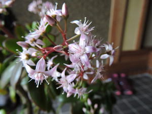 Dscn2561