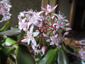Dscn2563