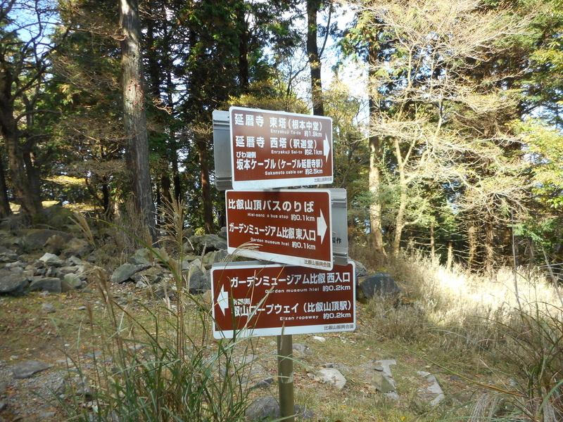 f:id:ngmch-kr-hn:20210602212217j:plain
