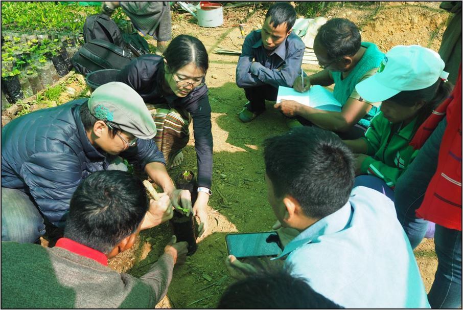 f:id:ngomyanmar:20190522123105j:plain f:id:ngomyanmar:20190522123105j:plain