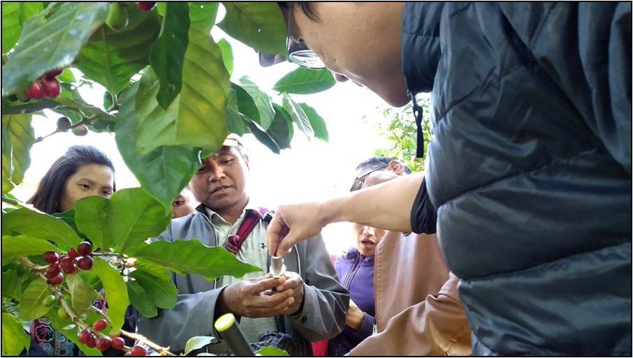 f:id:ngomyanmar:20190522123153j:plain f:id:ngomyanmar:20190522123153j:plain