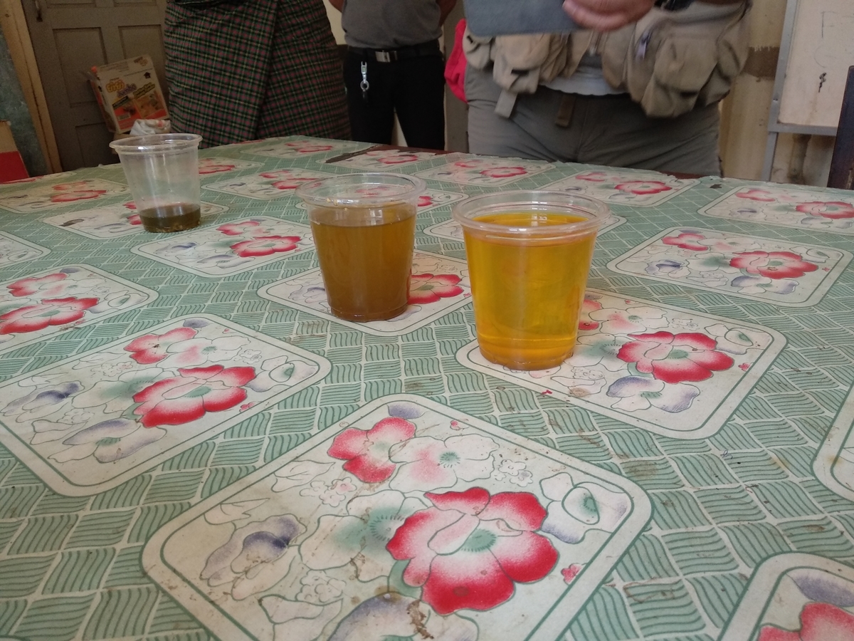 モリンガオイル