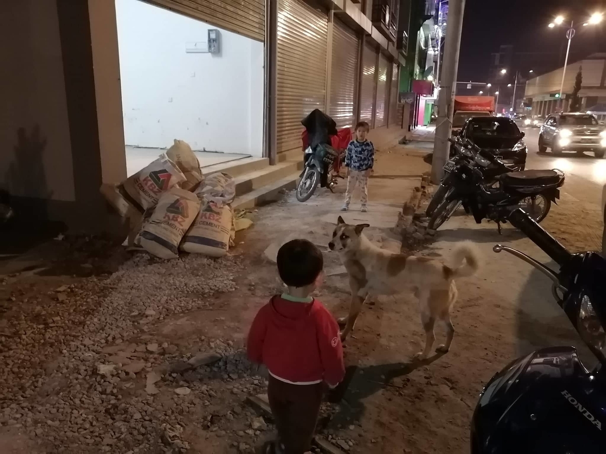 ミャンマーの犬と、近くに立つ子ども