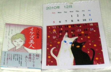 f:id:ngoronya:20101201215944j:image:right