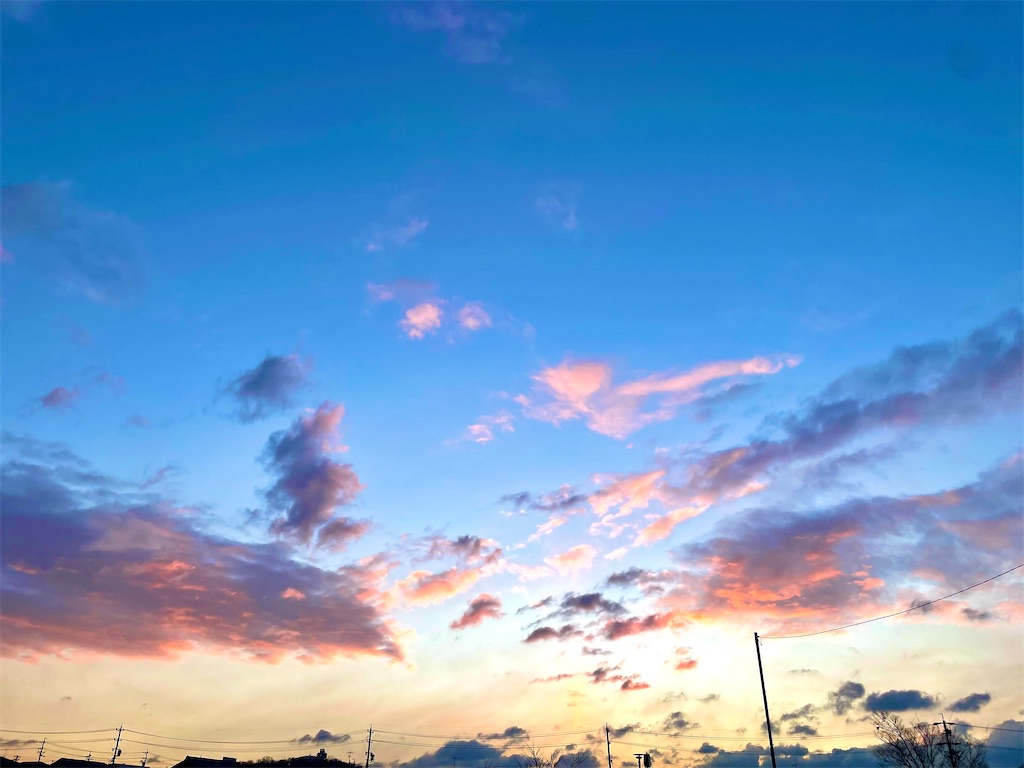 f:id:ngp_grp:20220130144138j:image