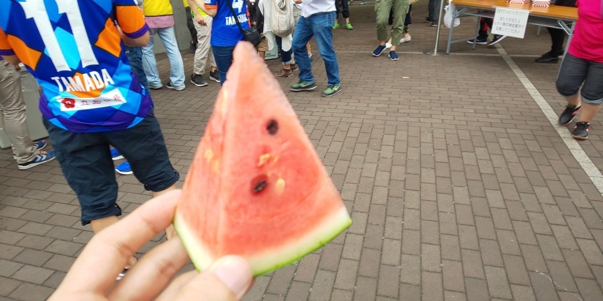 f:id:ngsk_111:20190607161432j:plain f:id:ngsk_111:20190607161432j:plain
