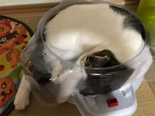 f:id:ngsw_yk_iwmr:20190730215230j:image