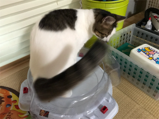 f:id:ngsw_yk_iwmr:20190730220638p:image