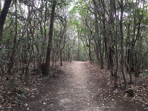 f:id:ngumd19920902:20190122220756j:image f:id:ngumd19920902:20190122220756j:image