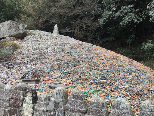 f:id:ngumd19920902:20190122221213j:image f:id:ngumd19920902:20190122221213j:image