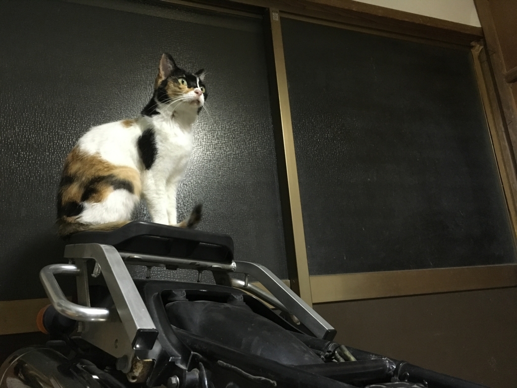 f:id:ngxyh754:20171015013407j:plain