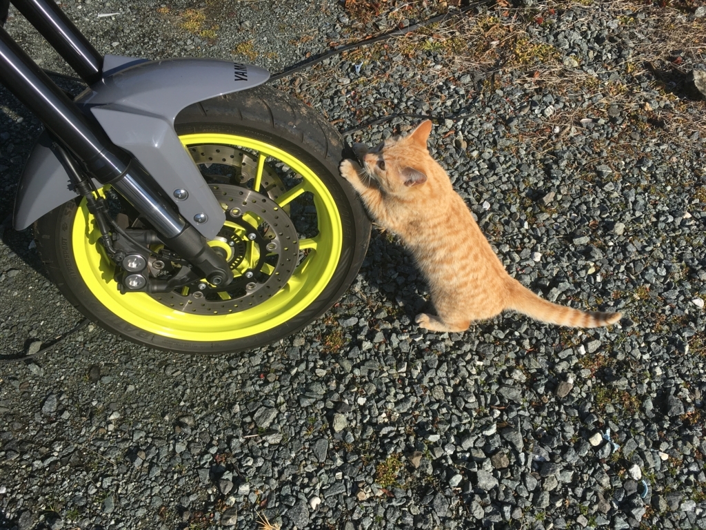 f:id:ngxyh754:20180108130517j:plain f:id:ngxyh754:20180108130517j:plain