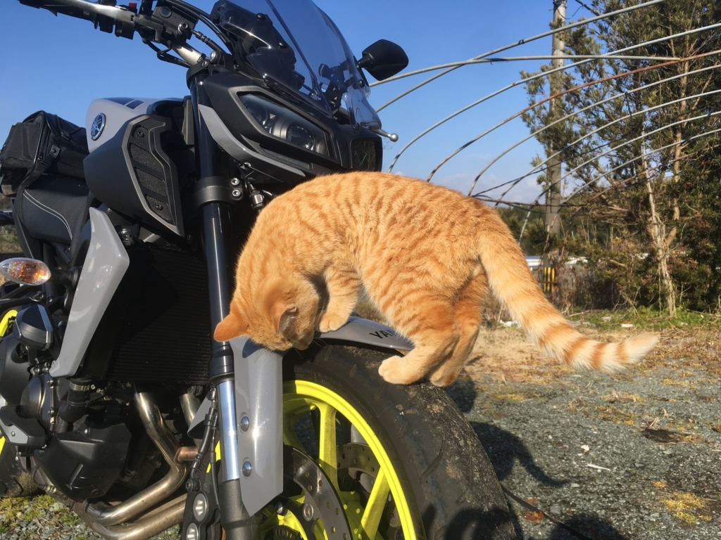 f:id:ngxyh754:20180108130556j:plain f:id:ngxyh754:20180108130556j:plain