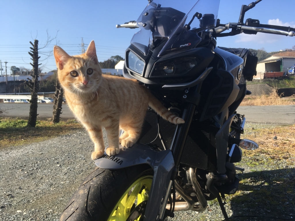 f:id:ngxyh754:20180108130620j:plain f:id:ngxyh754:20180108130620j:plain