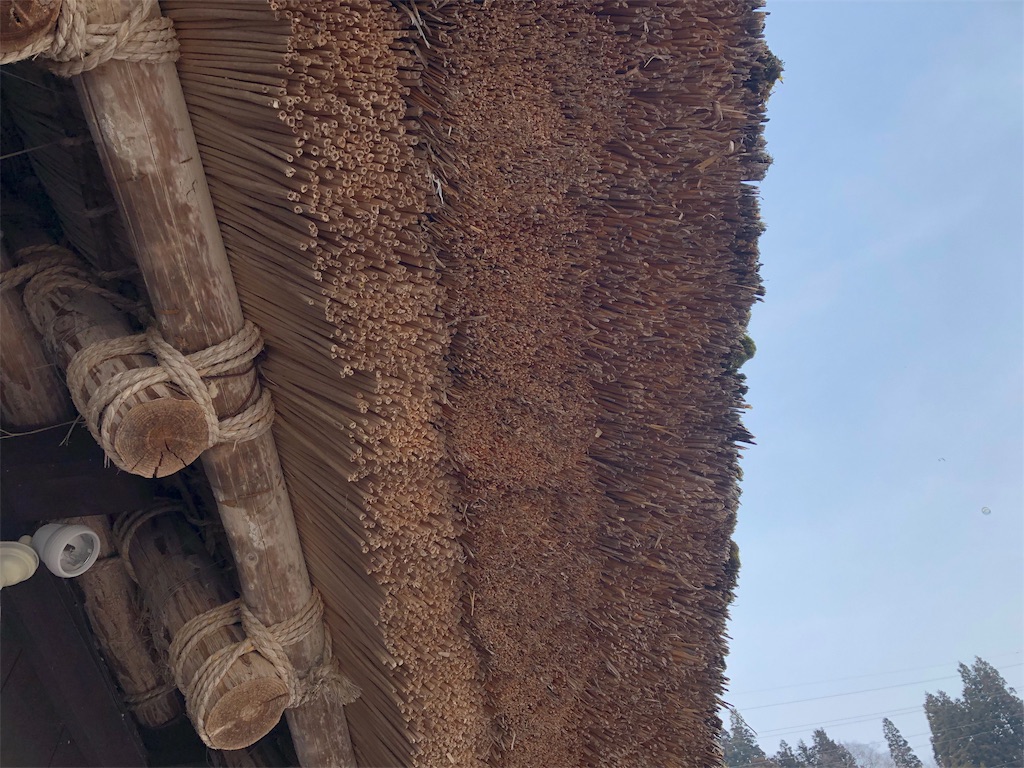 f:id:ngxyh754:20190316190156j:image