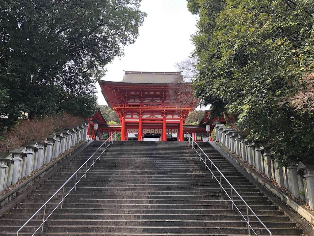 f:id:ngxyh754:20190322234743j:image